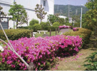 Greening of the Kansai plant