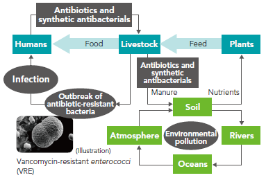 生態系サイクルを脅かす耐性菌