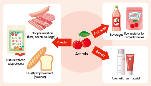 Acerola as a Clean Label Raw Material