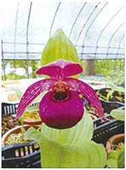 咲州物流センター