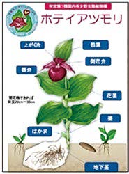 咲州物流センター